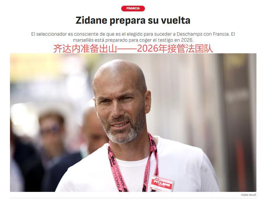 年世界杯之, 咨询请教一