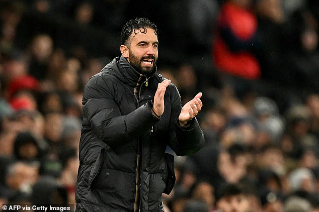 费迪南德批 费迪南德批